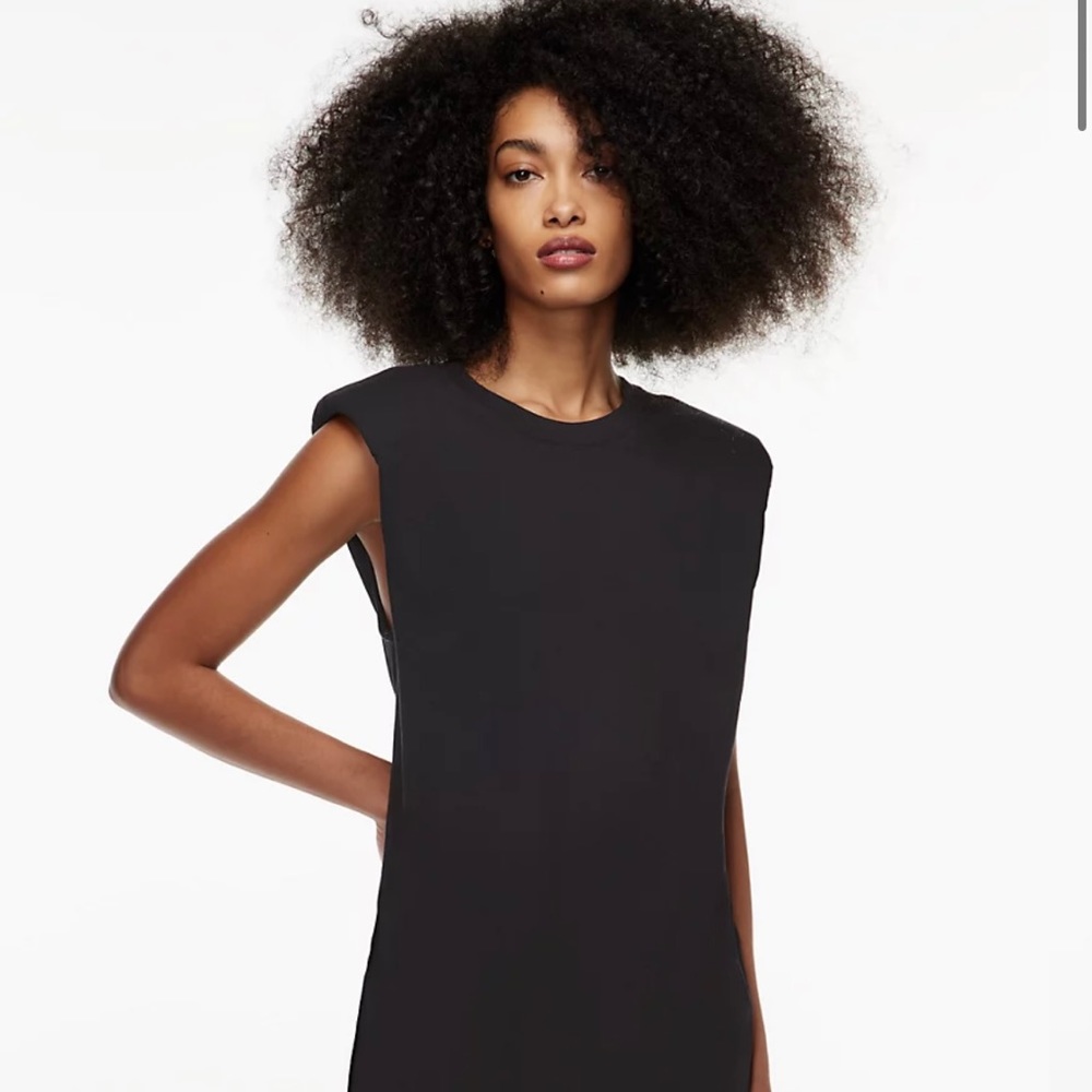 Aritzia Mini Dress